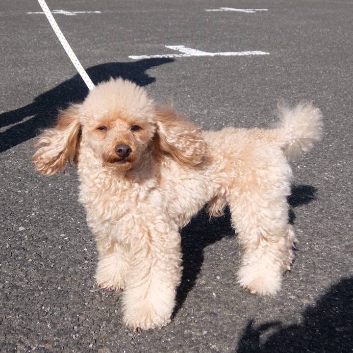 4d448f0f 64b7 49f0 8bb1 efbe7ea79f9d