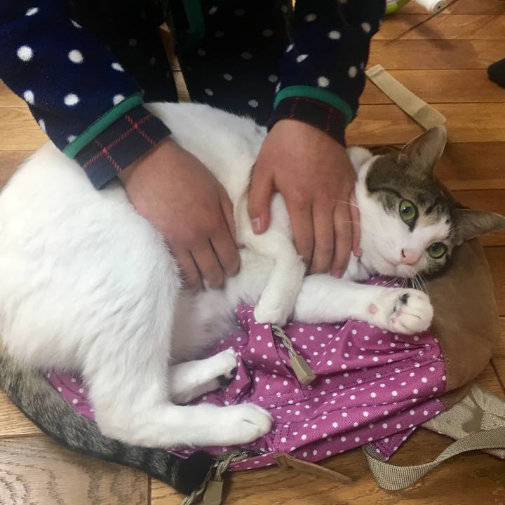 4d44caf0 d735 41fb 911d 65f9dd100d1e