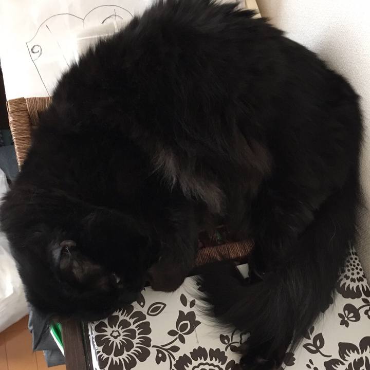 4d456d8a cea5 43d8 a4b6 cd3987fd388c