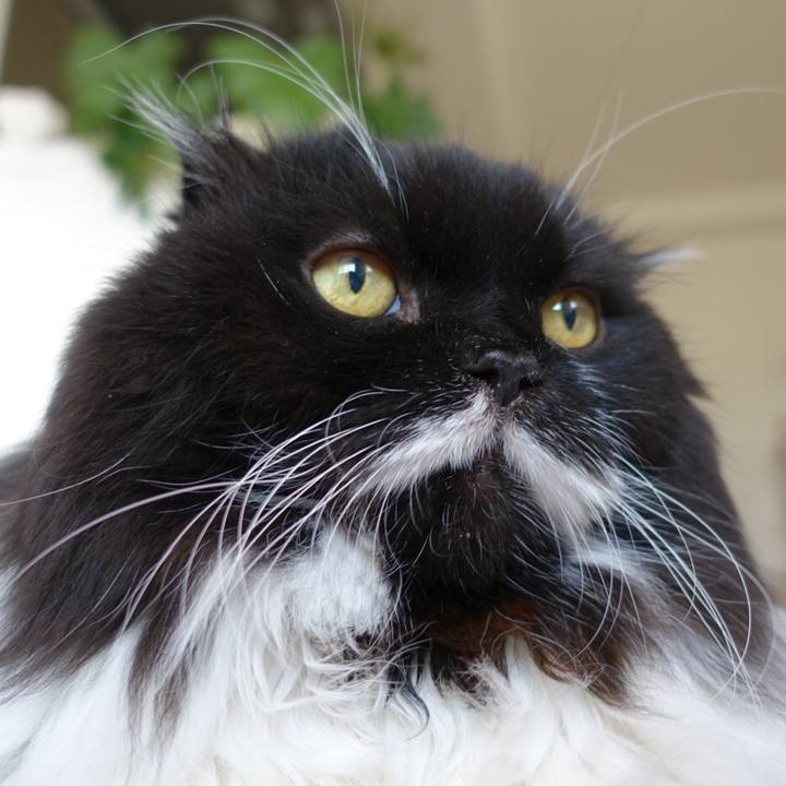 4d45af24 90d4 49e1 8768 040278d9861c