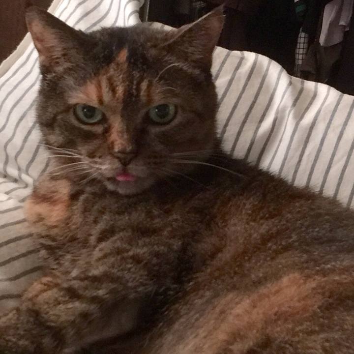 4d45c22f 300f 4ccd a590 618996fb4ce1