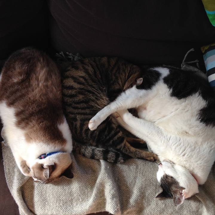 4d464fff 31ab 4a62 ae16 8a6507b4a58e