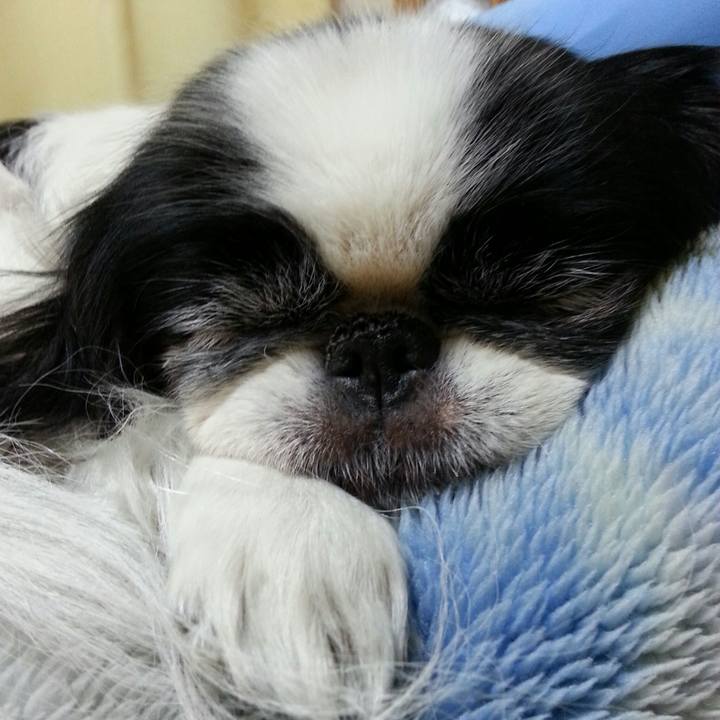 4d4790b6 5459 4314 8ca9 68956ccd2b54