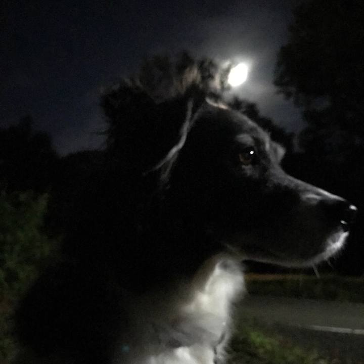 4d47b3ee 2344 43f7 85db add2190abedc