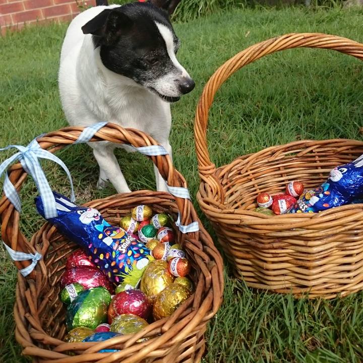 4d47f864 1a07 46e4 8bce a1cb4feff48c