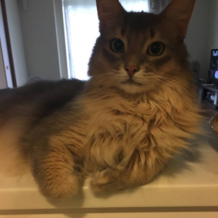 4d4800cc 4491 4501 b29f 5ebd89dee2ce