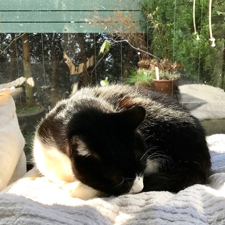 4d48e385 d43d 4d97 9879 94dd030b1f64