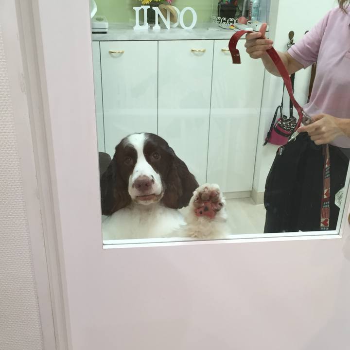 4d494b81 2bd0 4c70 85ac 30d64f9d495e