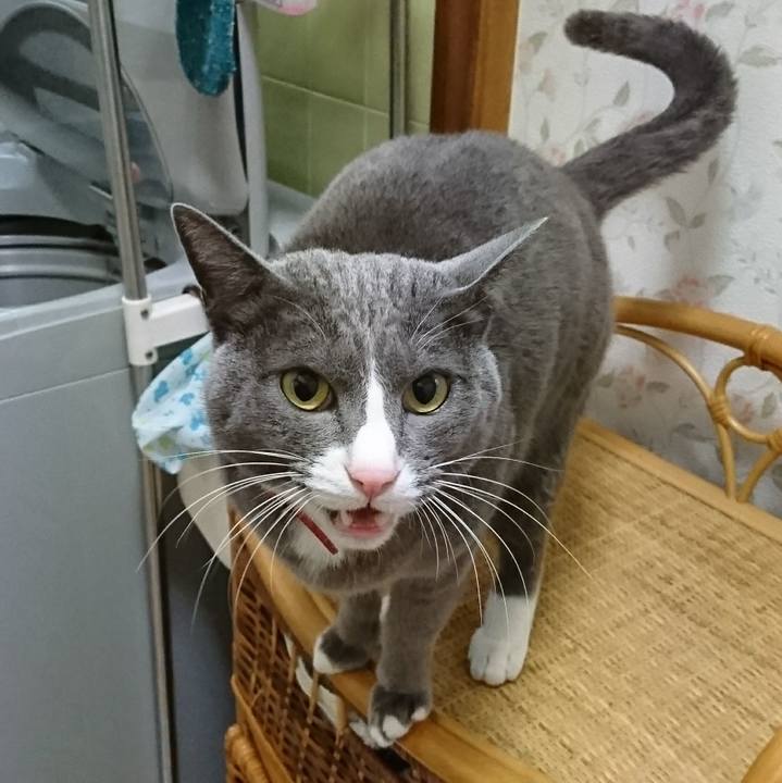 4d4975ce 71f7 4492 9f64 19a48a05e537