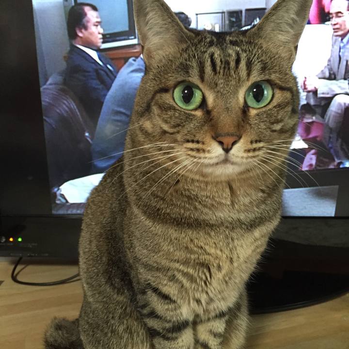 4d49fbd1 cf24 4781 9c3b 0dd97793b093