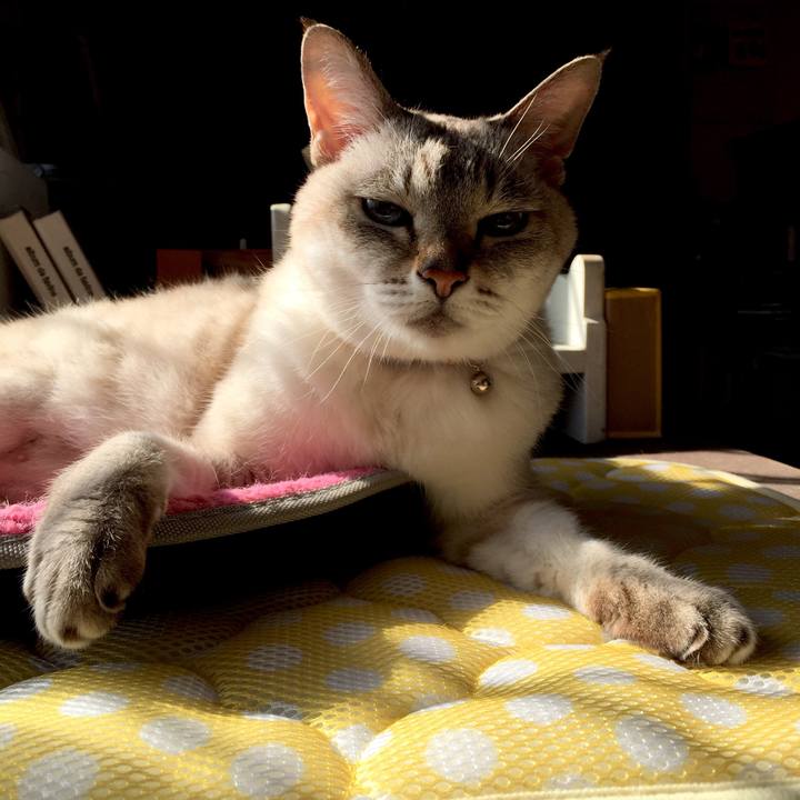 4d4a24fc 8957 45e7 847b 951911b2bffa