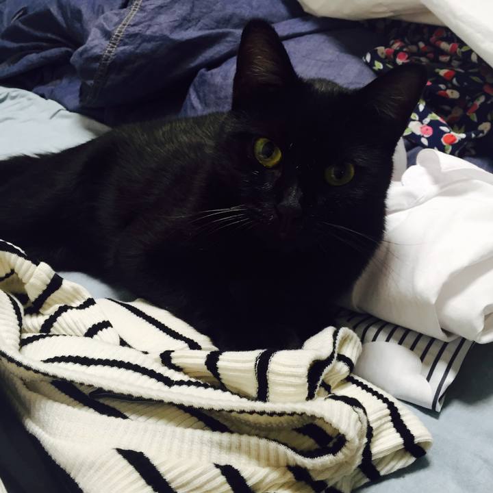 4d4a60a9 f398 46c5 b399 7c48e914250b