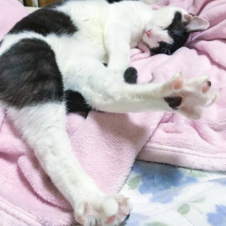 4d4a6982 ba1e 48ef ab3c e07f5bbe251a