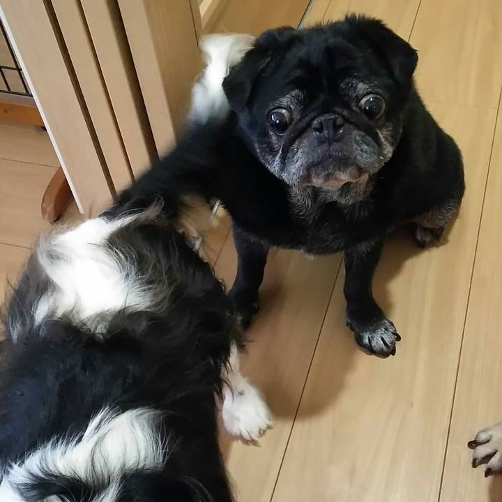 4d4b0fc7 a04b 40b0 af2c 55580379eb3c