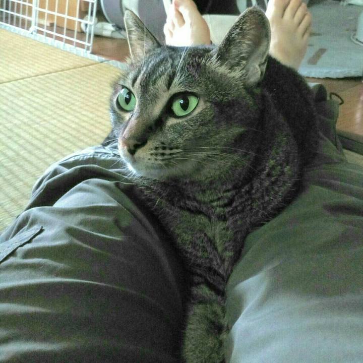 4d4bbc2b 8a02 4e03 9292 0797be94a1ca