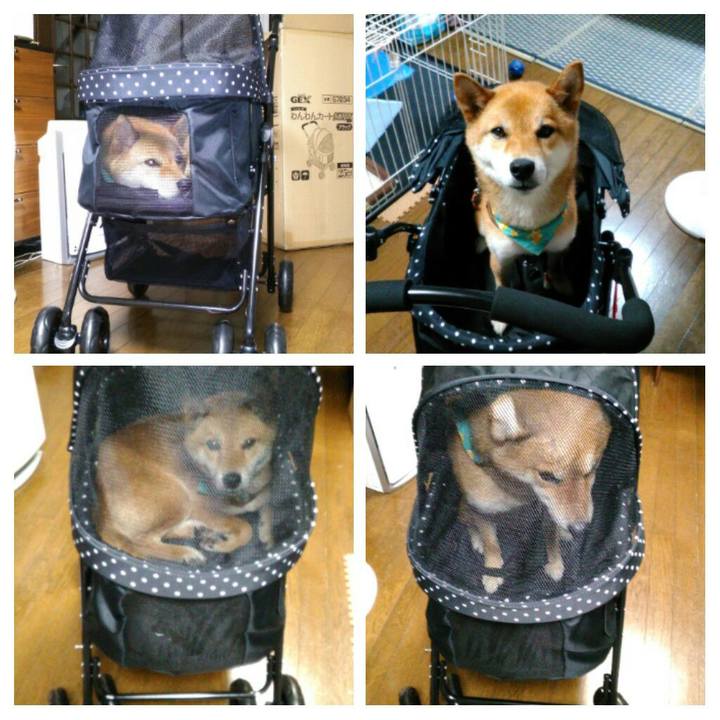 4d4bf966 f312 44ea a720 bd1007c09b68