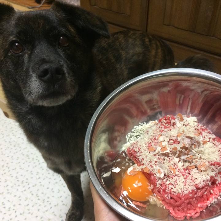 4d4cab81 30d2 4533 bdca e439031c27e4