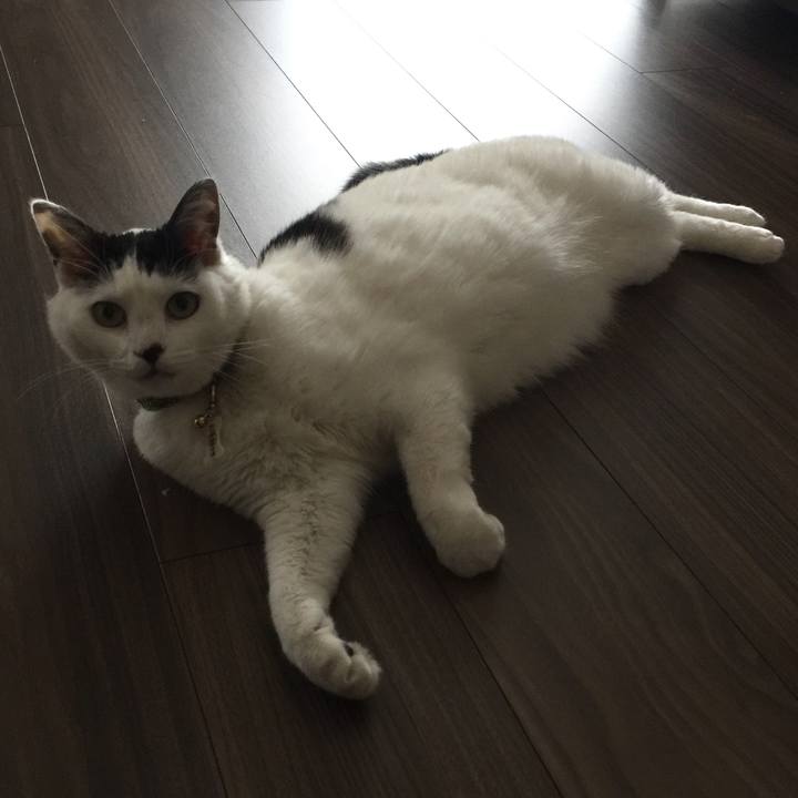 4d4d12f7 267a 4e71 baeb 9c7b2ee98a39