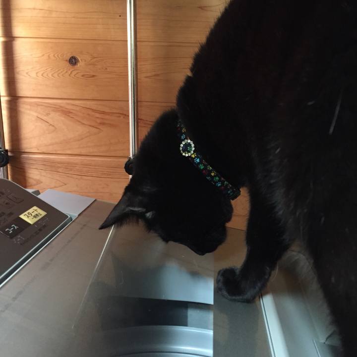 4d4d6260 c2bd 45c5 bbd2 a91dcaa88c28