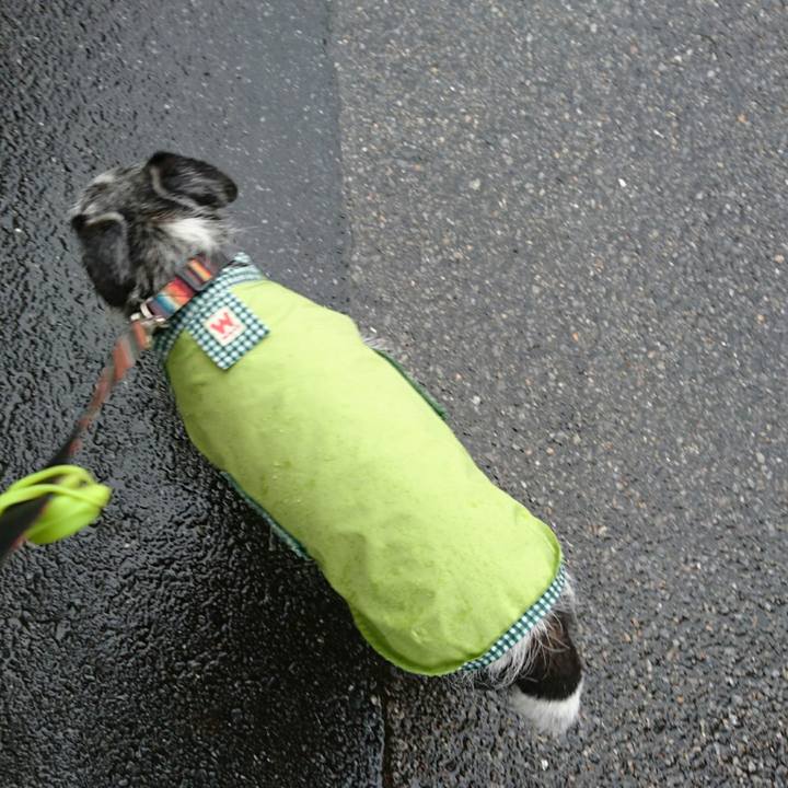 4d4d6b5e 39f9 4733 ba74 92410c657e36