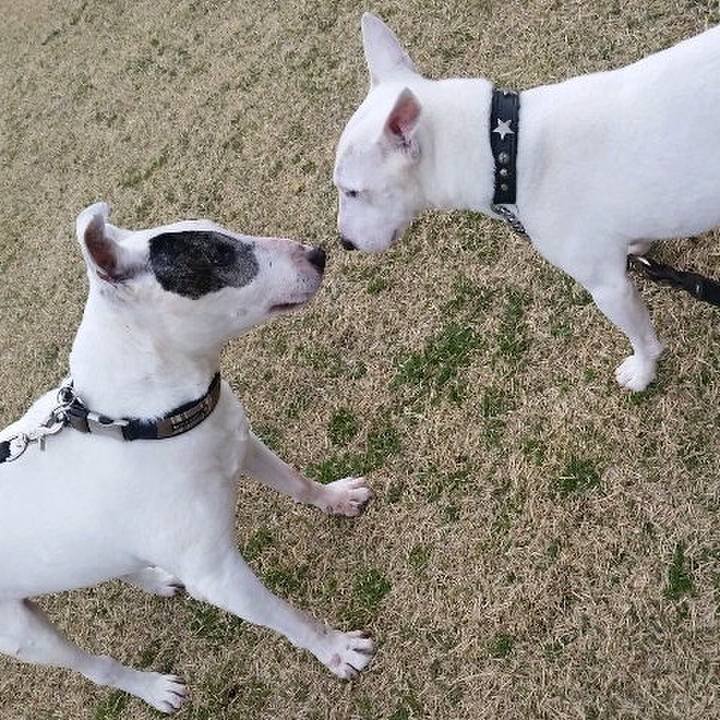 4d4e4dc4 ab82 46cc ab60 d0f1e31a81c3