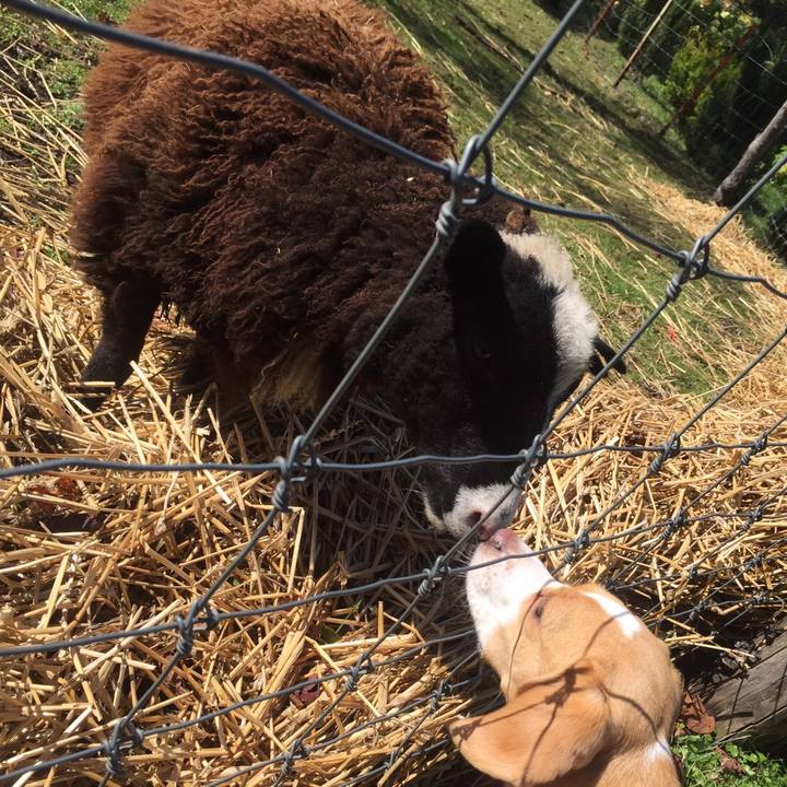 4d4e7f08 a8a6 4da3 97aa 1a507c801ab2