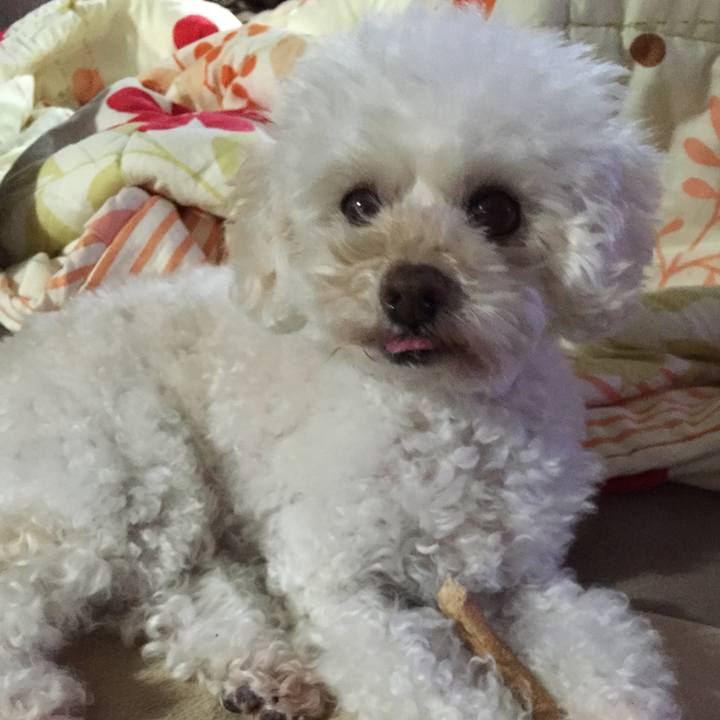 4d4ef565 a08a 4ddd 89d7 e05800c75208