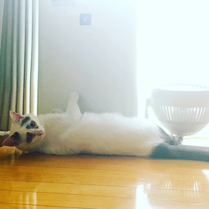 4d4ef741 1789 4c37 84d1 522acf31633f