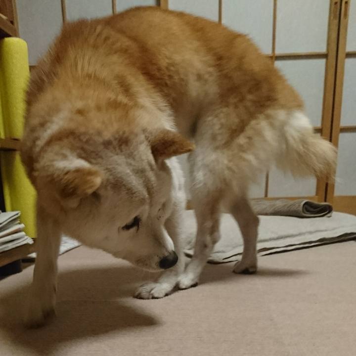 4d4f1da9 dce6 4dd9 8594 89173010cb8a