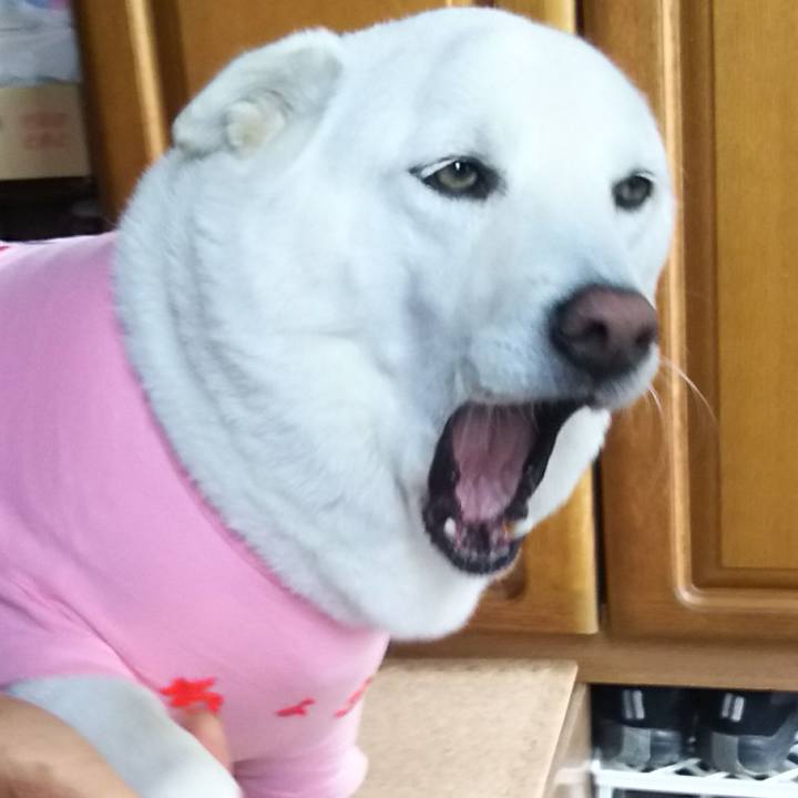 4d4f7268 199f 4a47 9f70 0558b338c113