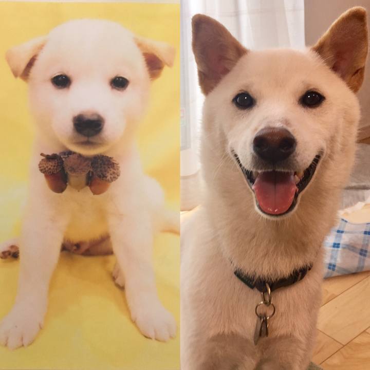 4d515411 3134 4042 8aca dea14d3ace65