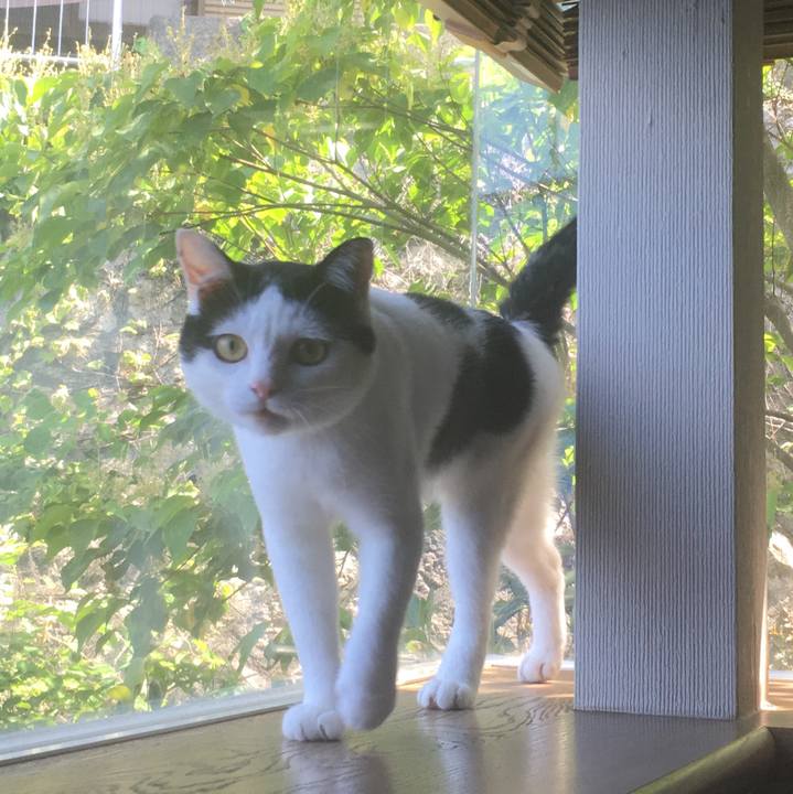 4d51b093 78f4 4e82 9fbe 485020718d85