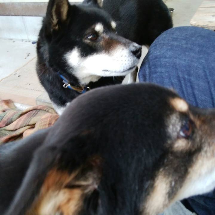 4d52c950 e35a 4d51 bcfd 49f0781e12ba