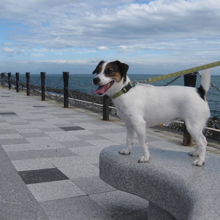 4d53175d 2dea 4108 804b 40829b829d94