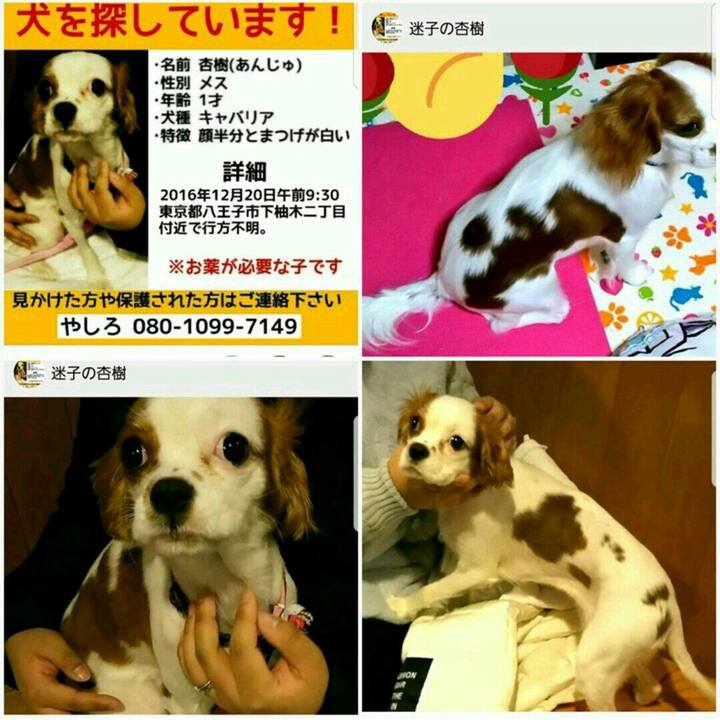 4d5324fb 83f1 4fa0 b757 60cb21b77f3d