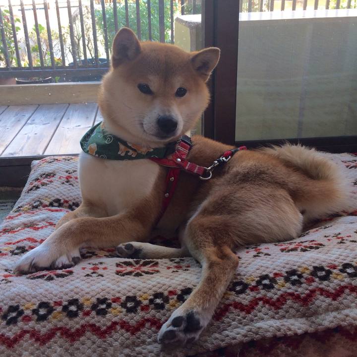 4d53f4df 1909 440b 991f 01084584c957