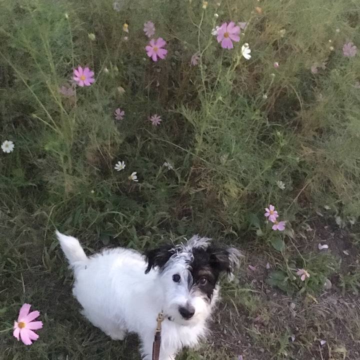 4d54488f d3b1 4991 bb67 620bfee2cf90