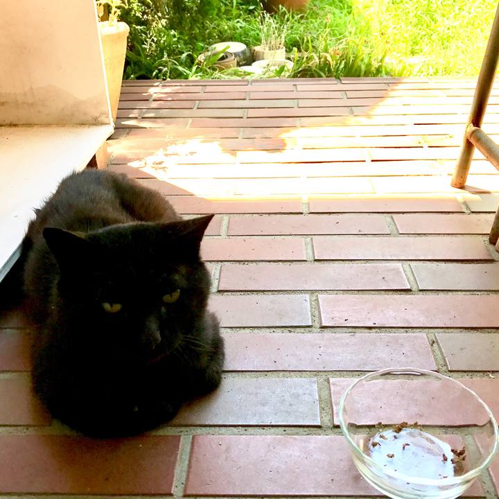 4d5450d2 5e26 4909 82f1 f69f2056fbbd