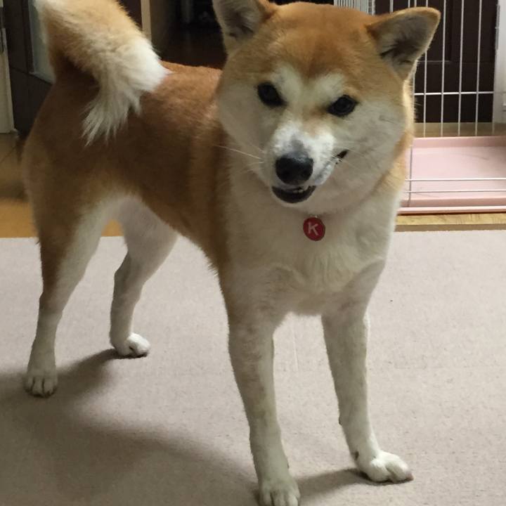 4d551e1b 477c 43e3 a1c8 4051d8f7fdc8