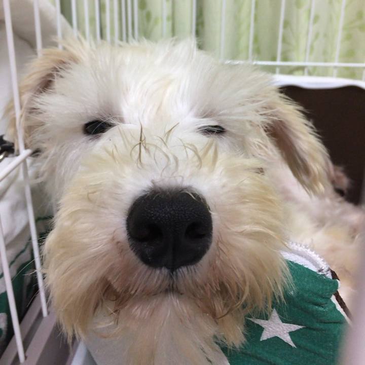 4d55b39d 28d4 4ec6 bb3d 91977f887075