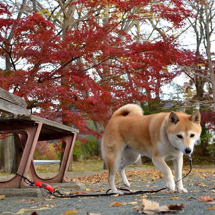 4d56026b 8bdf 4855 95df 898d059e0641