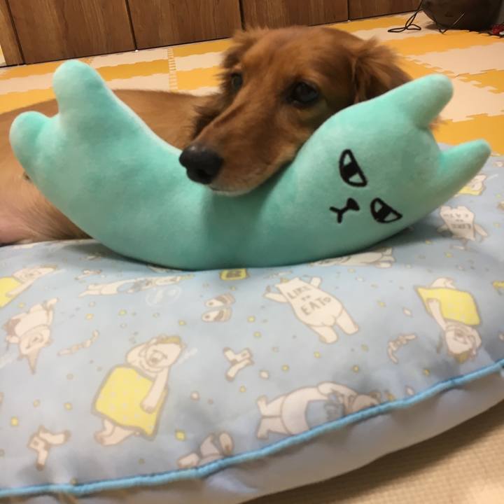 4d564177 4d18 4c18 97e9 d49a4bb9f1af