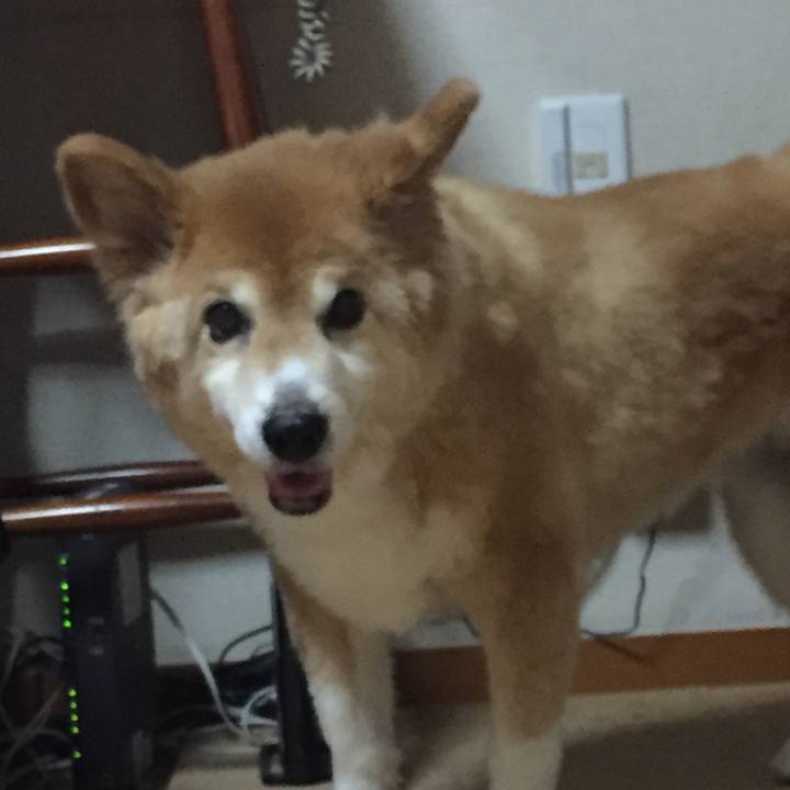 4d56fd77 093e 4797 88b3 b9ba5c3d6426