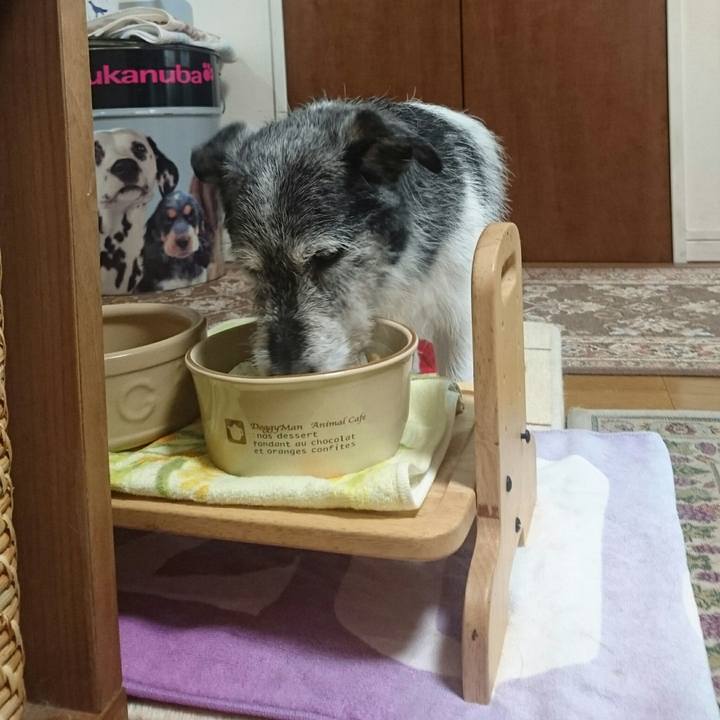 4d576d09 4fa2 491b 8be2 02e2de578dda