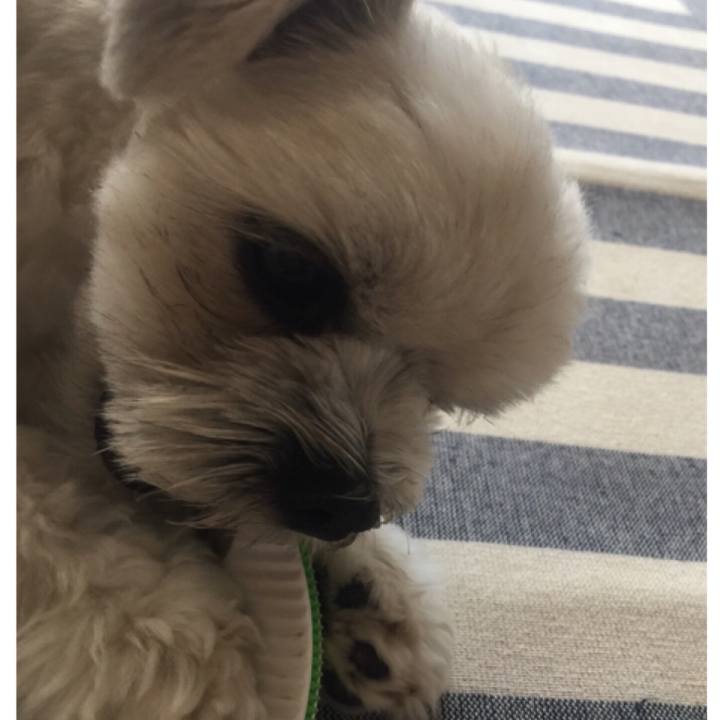 4d57f5c4 21bd 4c97 8d2b 3827dc9b4453