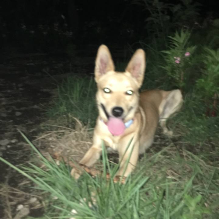 4d58d01f 4f2f 40bc a97b 94d57f1bf66f