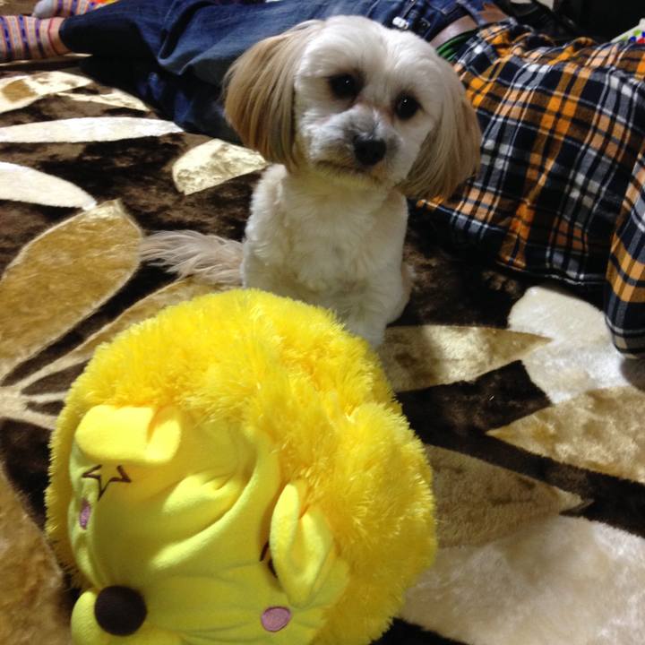 4d597168 fc56 4f3f a33e d68f623561ae