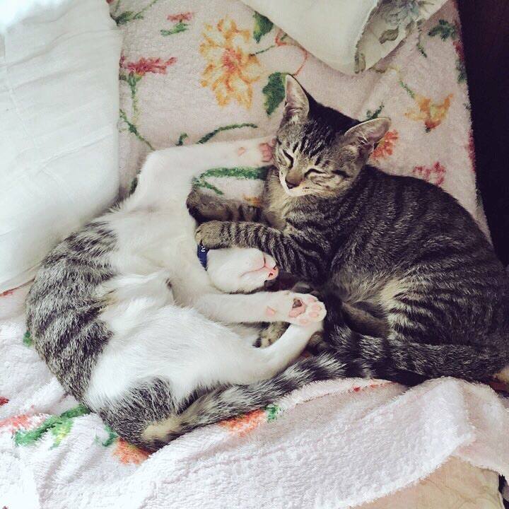 4d5a3e54 d792 4549 a45a 920bc5fce432