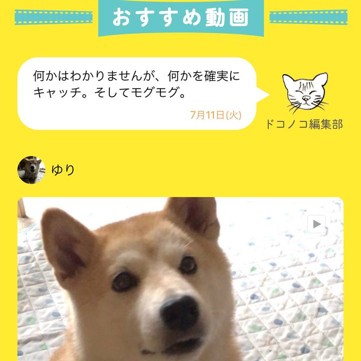 4d5a541e b84b 4dce b578 7f9acda42552