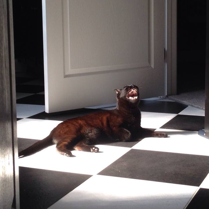 4d5bf12b b779 4300 b305 bb7b35618229